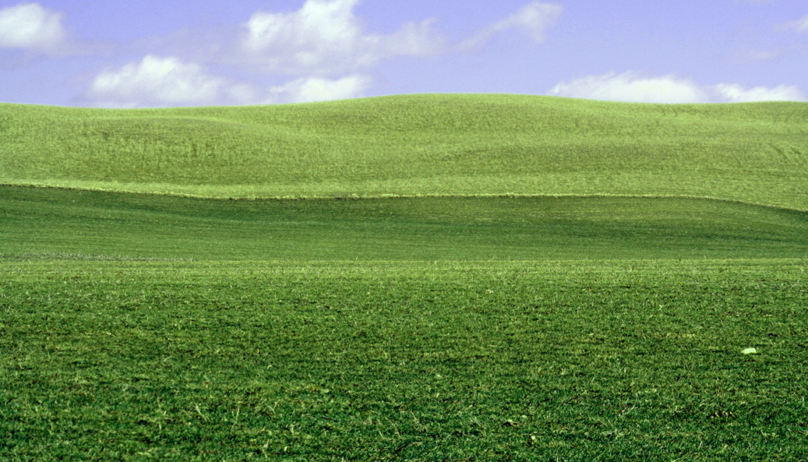 Land-for-Sale.jpg